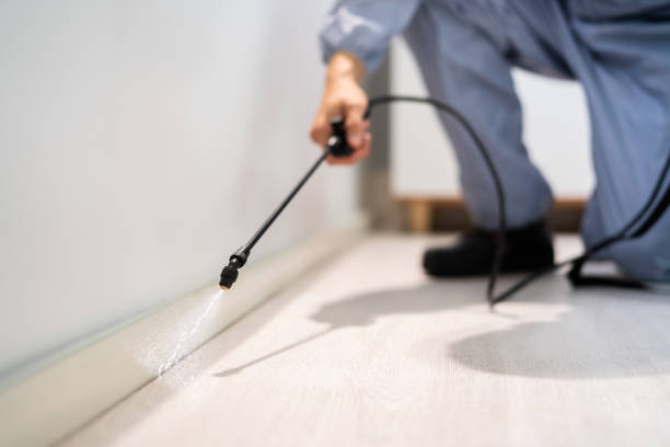 Licensed Cockroach Control service in Clinton, NC - Nex Pest Control