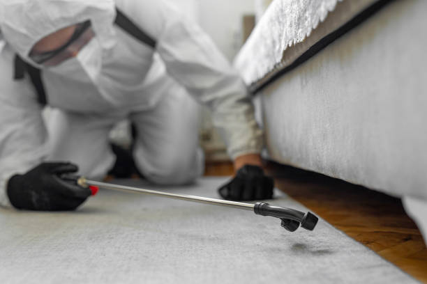 Professional Cockroach Control technician working in Clinton, NC
