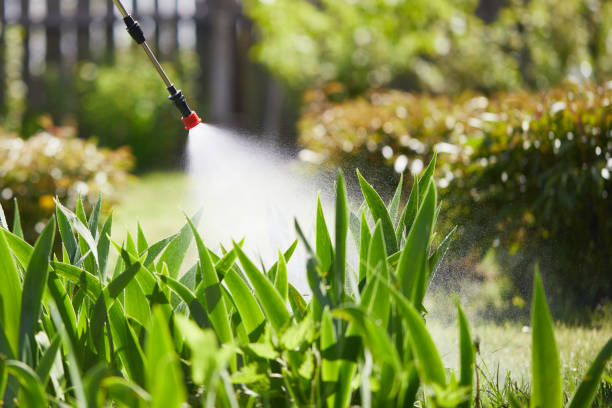 24/7 Emergency Cockroach Control experts in Clinton, NC