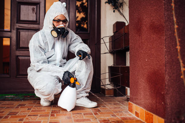 Reliable Cockroach Control contractor in Clinton, NC by Nex Pest Control